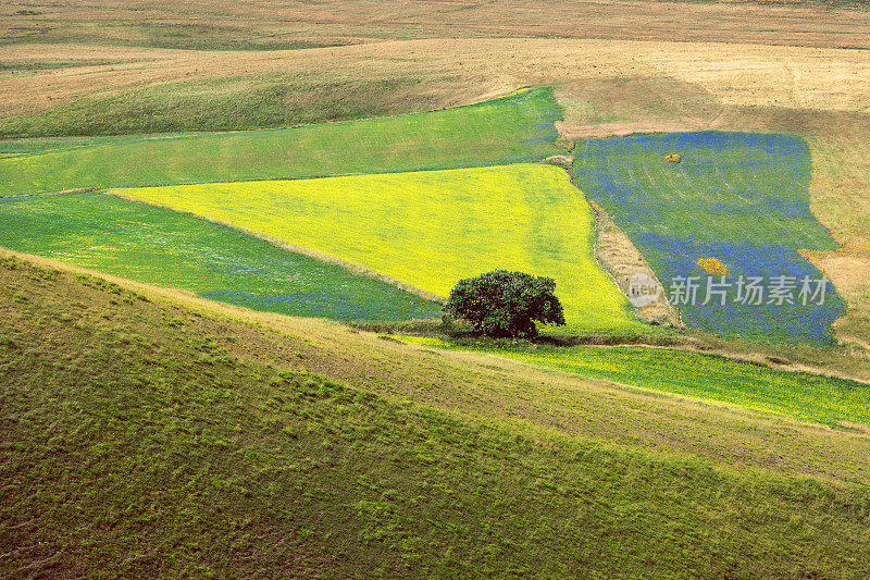 Piano Grande di Castelluccio(意大利)，绿色山丘上的村庄